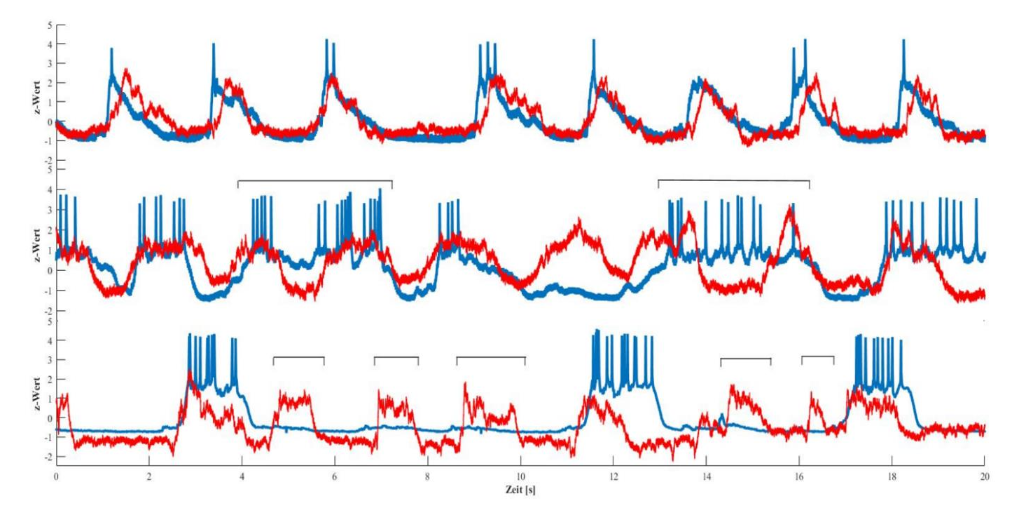 Visualization of cortical activity in the entorhinal cortex